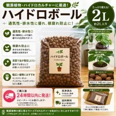 ハイドロボール 2L 観葉植物 ハイドロカルチャー 植え替え用のサムネイル