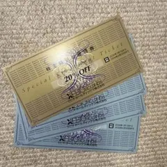 ゼビオホールディングス 株主特別優待券