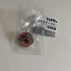 ハイキュー　高校モチーフピンバッジ　烏野
