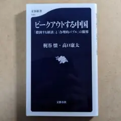 ピークアウトする中国 「殺到する経済」と「合理的バブル」の限界