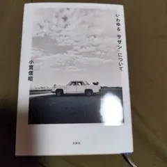 いわゆる「サザン」について