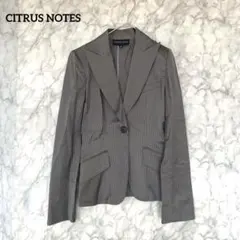 CITRUS NOTES シトラスノーツ　ストライプ　グレージャケット S 通勤