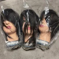 美容学校教材カットウィッグ LC-60RT 2体セット - メルカリ