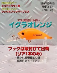 2026年最新】イクラルアーの人気アイテム - メルカリ