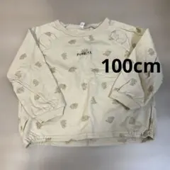 Item thumbnail for item 3c3c8f5f-4297-4bee-9edc-a054ac00f181