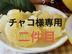 チャコ様専用　土佐文旦赤玉中玉　10キロ