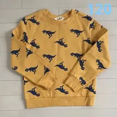 【新品】120cm H&M 恐竜柄♡トレーナー　裏起毛　スウェット　ダイナソー