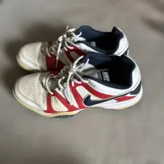 NIKE ナイキ　アガシモデル　サイズＬ 2025年最新】アガシ ナイキの人気アイテム - メルカリ