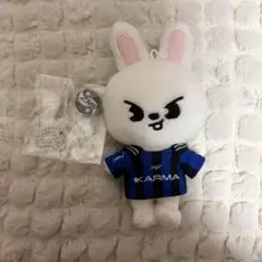 Stray Kids Leebit KARMA ぬいぐるみ skzoo ①のサムネイル
