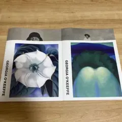 GEORGIA O'KEEFFE COMME des GARÇONS 2冊