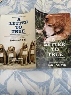 ブルースウェーバー　トゥルーへの手紙　映画ポスター ブルースウェーバー トゥルーへの手紙 映画ポスター A LETTER TO