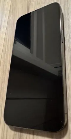 【新品未使用】iPhone 13 Pro 256GB グラファイト　Apple