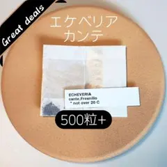 特価 エケベリア カンテ 500粒 ケーレス 種子 実生 原種 2026年最新】エケベリア カンテの人気アイテム - メルカリ