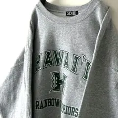 SDI ハワイ レインボー WARRIORS スウェット L グレー 灰色 古着
