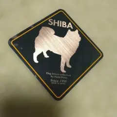 Item thumbnail for item 25102eaa-e4d0-44e5-9ba8-b74c41da7010