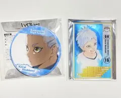 ハイキュー 星海光来 運試し缶バッジ ステータスカードコレクション