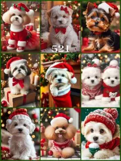 パネル生地　５２１