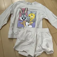 セットアップ