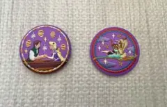 ディズニー　刺繍缶バッジ　ラプンツェル アラジン