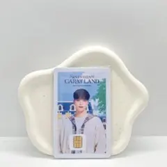 SEVENTEEN NAMANEカード ディノ