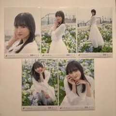 乃木坂46 遠藤さくら ここにはないもの 生写真 5種コンプ