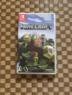 Minecraft Nintendo Switch版