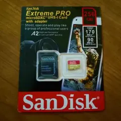 Item thumbnail for item ffef1633-c434-4671-85b3-037031084f75