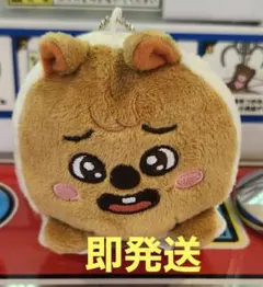 SKZOO スキズ　くっつきぬいぐるみ　HANQUOKKA