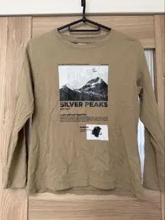 ZARA キッズ 長袖カットソー ベージュ SILVER PEAKS 134