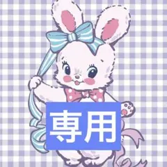 専用出品