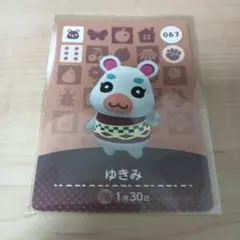 ゆきみ amiiboカード
