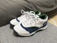 Item thumbnail for item e8dc10ec-9f13-4539-9237-ab310908d0bf