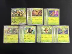 スピアーex RR　進化ライン（ニンジャスピナー草タイプ）デッキパーツ（24枚）