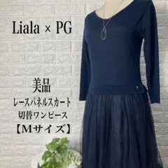 Item thumbnail for item 3d6935fa-dd33-4edb-86e3-d8e6d5babb81