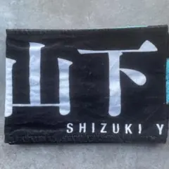 Item thumbnail for item efa3eadf-9369-4584-addb-704af972ecfd