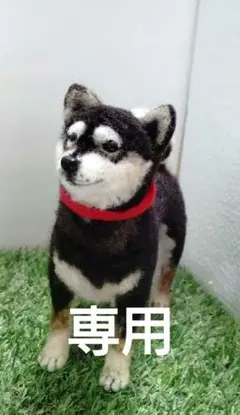 2025年最新】チョコタンチワワの人気アイテム - メルカリ