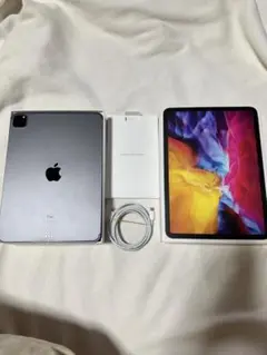 11インチiPad Pro 256GB - スペースグレイ 第2世代 値下げ不可