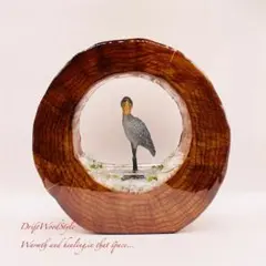 Item thumbnail for item 2707d98e-9423-4467-b6ee-5e332c7bc0c5