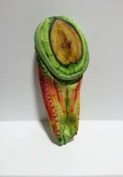 Item thumbnail for item 2fbe35bf-1a4f-4d6c-9653-6813f5a2868a