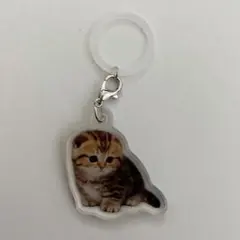ねこ　めじるしアクセサリー　チャーム　アクリルキーホルダー