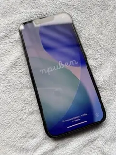 Apple iPhone 13 ミッドナイト