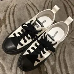 Item thumbnail for item 68e8d5a1-cb7a-473d-ae4a-30c234d9f1b7