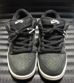 NIKE SB DUNK LOW PRO 운동화