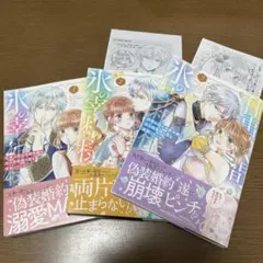 仕事人間な伯爵令嬢は氷の宰相様の愛を見誤っている 1〜3巻