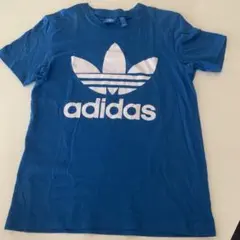 Item thumbnail for item 7b979a79-64c0-4197-a2c2-66116276e26e