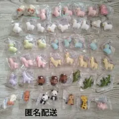 イワコー おもしろ 消しゴム 動物 アニマル 48点セットのサムネイル