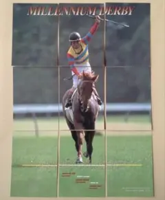 TeruQ様 リクエスト 2点 まとめ商品