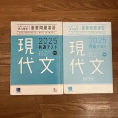 【未使用】共通テスト対策　実力養成重要問題演習　2025現代文