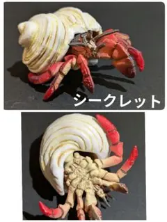 ★☆シークレット 『オカヤドカリ』地球生命紀行　蟹・海老 第3弾のサムネイル