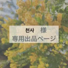 천사様　専用出品